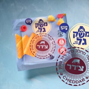 צ'דר משק גל