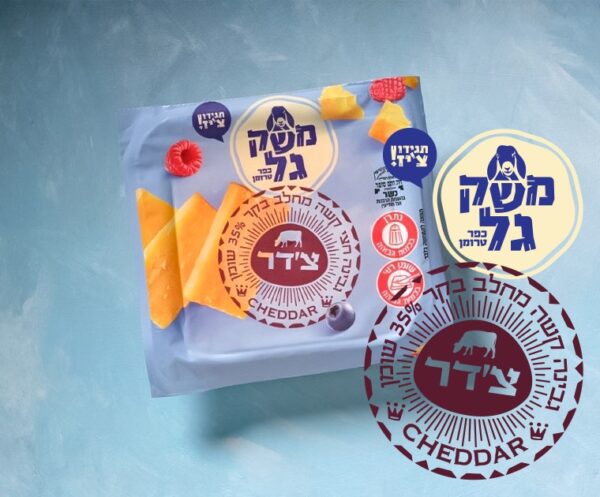 צ'דר משק גל
