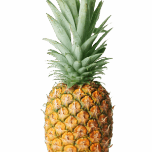 אננס ישראלי גדול
