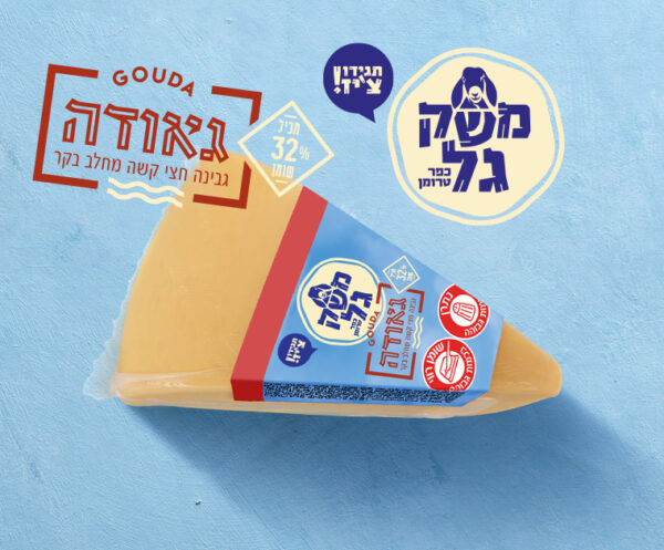 גאודה בקר משק גל