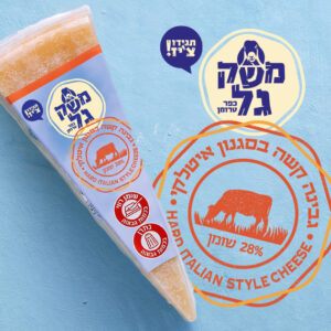 גבינה קשה בסגנון איטלקי משק גל