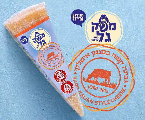 גבינה קשה בסגנון איטלקי משק גל