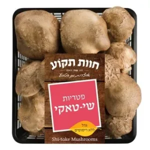 פטריות שיטאקי