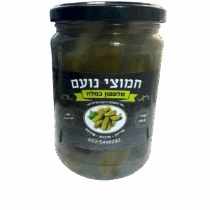 מלפפון במלח - חמוצי נועם