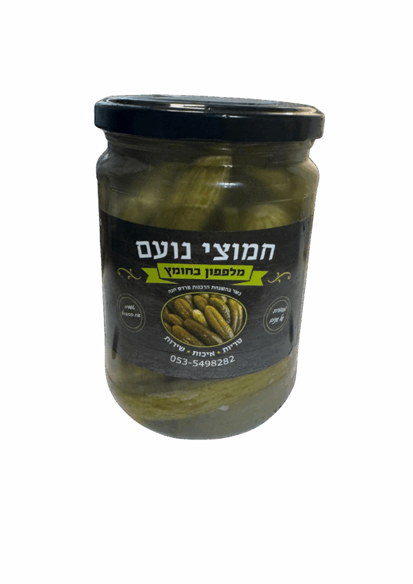 מלפפון בחומץ - חמוצי נועם
