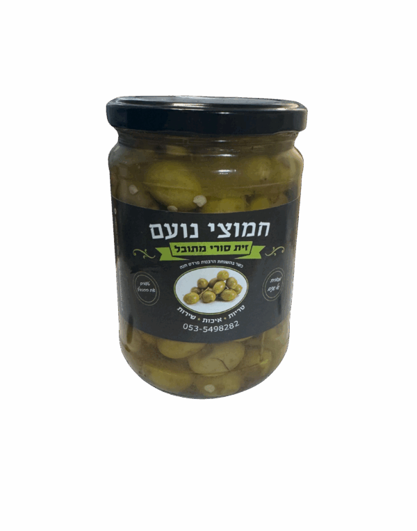 זית סורי מתובל - חמוצי נועם