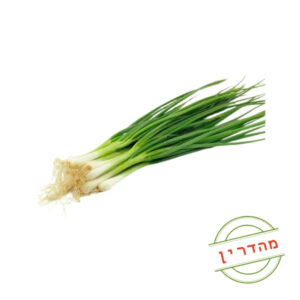בצל ירוק מהדרין