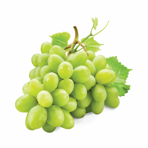 ענבים ירוקים מגה קריספיים